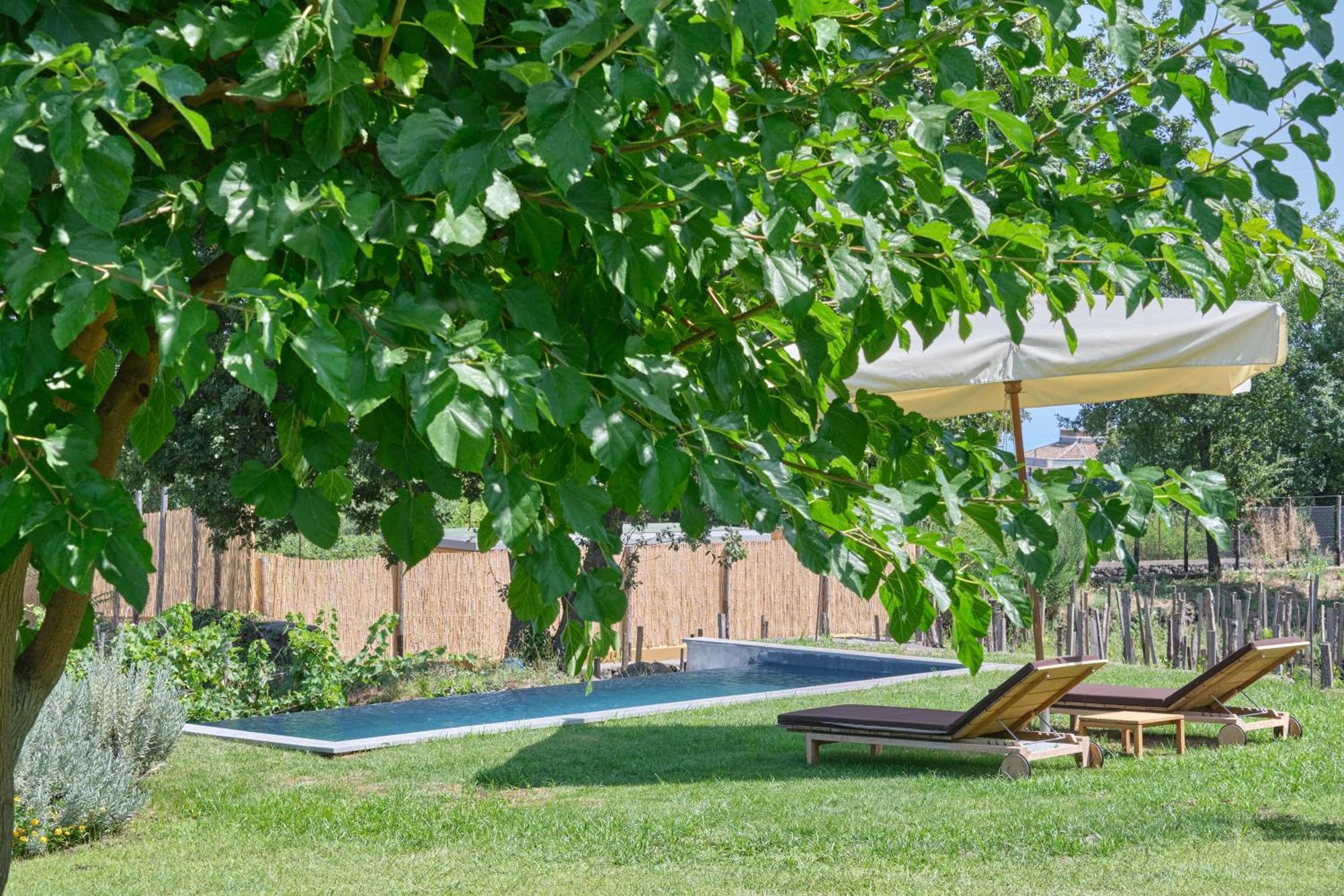Monaci Delle Terre Nere Hotel Дзаферана Етнеа Екстериор снимка