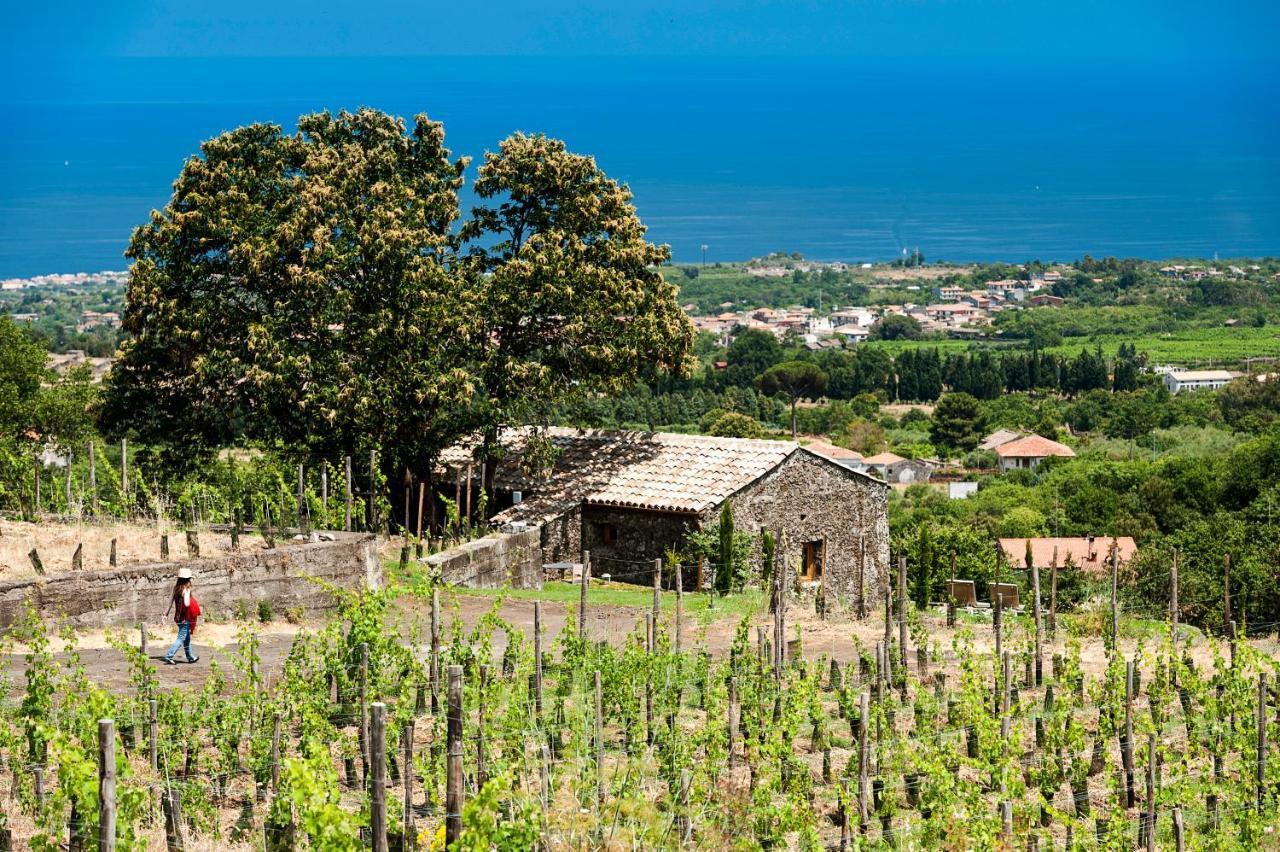 Monaci Delle Terre Nere Hotel Дзаферана Етнеа Екстериор снимка